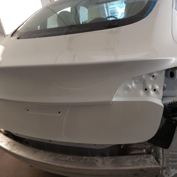 tesla-repair-david-auto-rapair